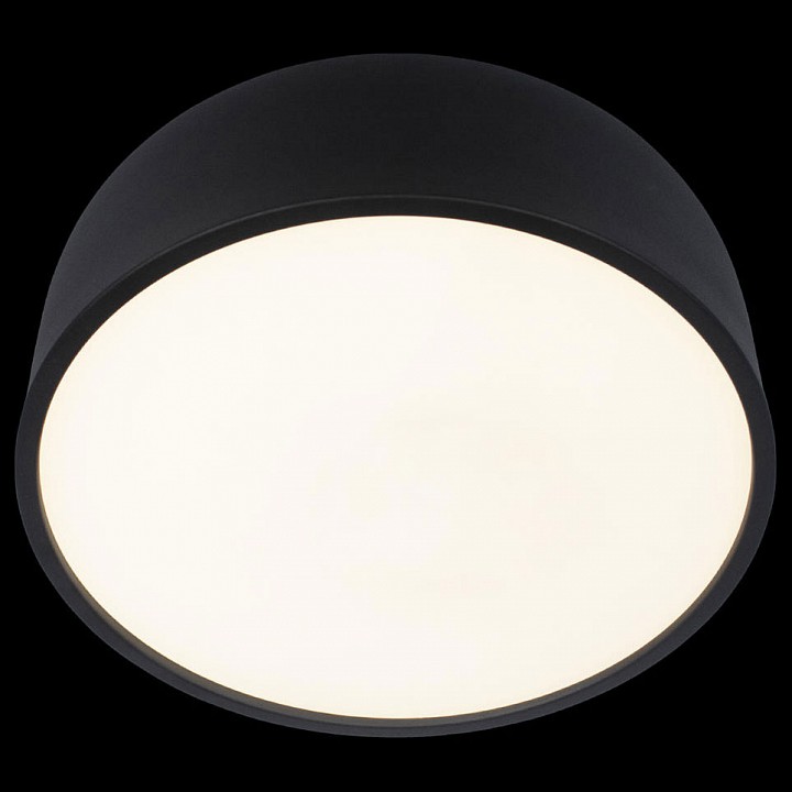 Накладной светильник Loft it Axel 10201/350 Black